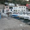 paxos-boat33