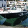 paxos-boat24